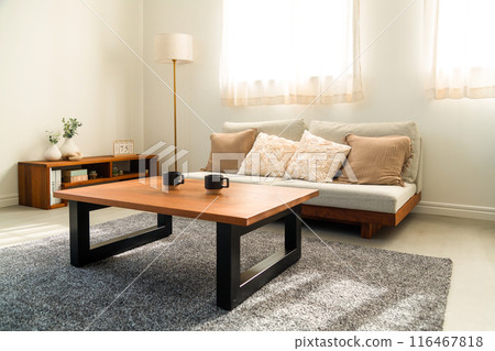 Sunny living room 116467818