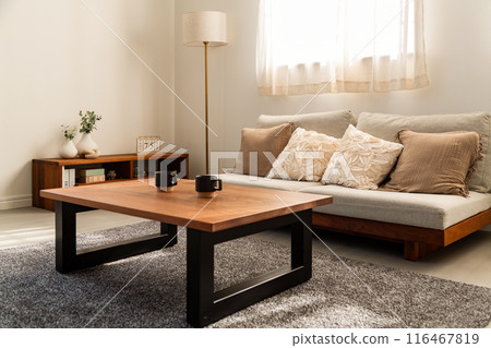 Sunny living room 116467819