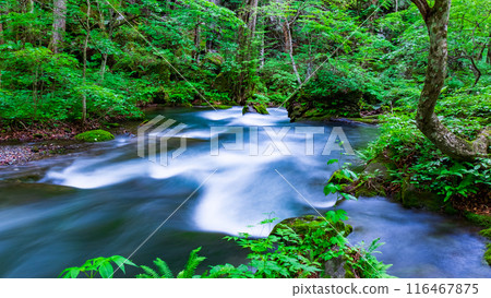 Oirase stream 116467875