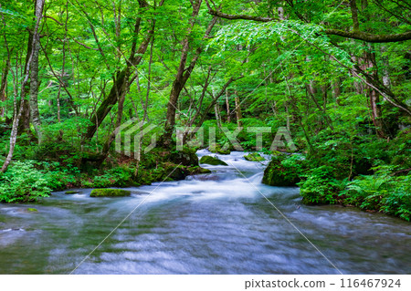 Oirase stream 116467924