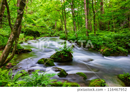 Oirase流 Oirase流 116467952