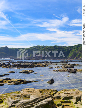 （靜岡縣）伊豆下田/惠比壽島海岸和藍天/夏日風景 116468169