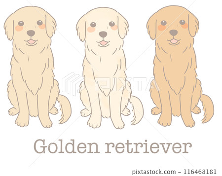 坐金毛獵犬不同顏色套裝 116468181