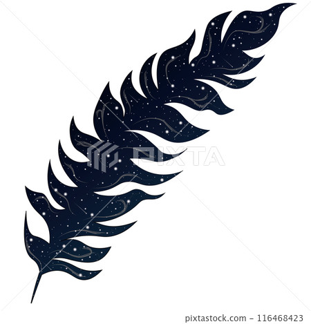 Feather contour with starry night sky background illustration 116468423