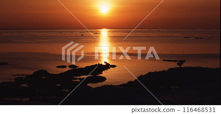 The setting sun of the Sea of Okhotsk in Hokkaido The setting sun of the Sea of Okhotsk in Hokkaido 116468531