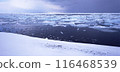 Winter scenery of Odaitō, Hokkaido 116468539