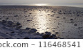 Winter scenery of Chippudomari coast, Hokkaido 116468541