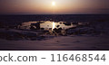 Hokkaido Onnebetsu drift ice Sea of Okhotsk 116468544