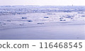 Winter scenery of Cape Nosappu, Hokkaido 116468545