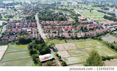 Aerial view of rice field and village in the countryside 116468556