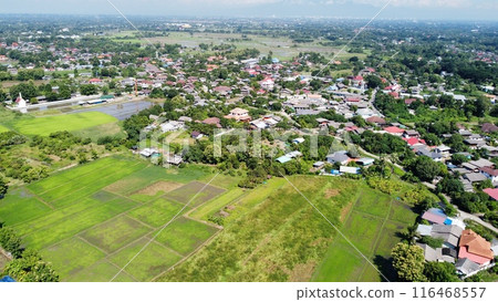 Aerial view of rice field and village in the countryside Aerial view of rice field and village in the countryside 116468557