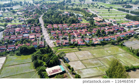 Aerial view of rice field and village in the countryside Aerial view of rice field and village in the countryside 116468567