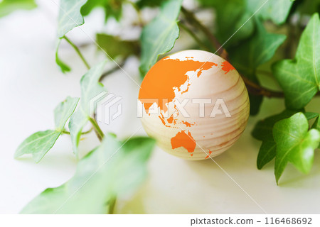 綠樹環繞的地球模型 116468692
