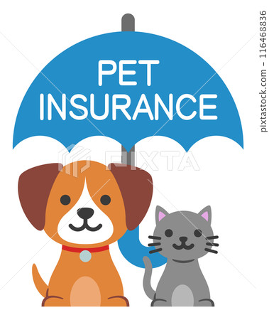 Dog and cat sitting under an umbrella 116468836