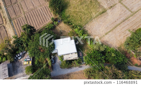 Aerial view of paddy field in countryside, agriculture in Thailand Aerial view of paddy field in countryside, agriculture in Thailand 116468891