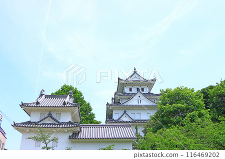Scenery of Ogaki Castle, Ogaki City, Gifu Prefecture 116469202