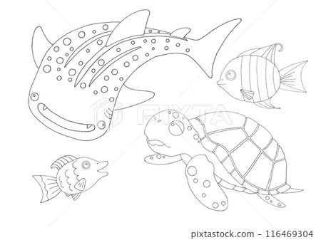 Simple fish illustration set coloring book 116469304