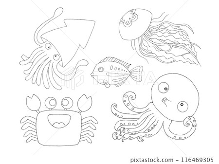 Simple fish illustration set coloring book 116469305