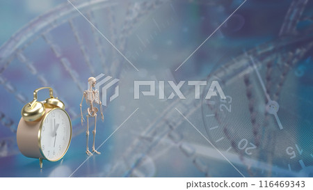 The skeleton and alarm clock for sci or medical concept 3d rendering. 116469343