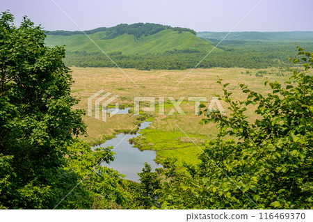 The view from the Kottaro Marsh Observatory in the Kushiro Marsh The view from the Kottaro Marsh Observatory in the Kushiro Marsh 116469370
