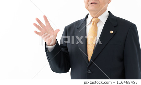 Business Senior Male Lawyer No Face 116469455