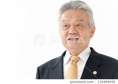 Business Senior Male Lawyer 116469456