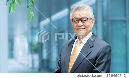 Business senior man outdoors 116469542