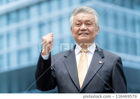 Business senior male lawyer outdoor fist pump 116469579