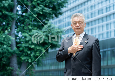 Business senior male lawyer outdoors 116469593