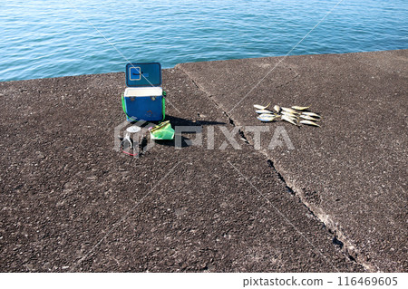 堤岸釣魚鍍竹莢魚琥珀魚誘餌大竹莢魚 116469605