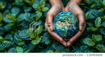 Close up of a hand holding a globe in front of a lush green background. The concept of protecting the environment and the planet Earth. 116469806