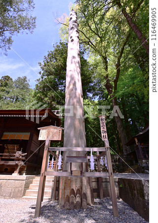 Suwa Taisha Shimosha Akimiya Suwa Taisha Shimosha Akimiya 116469905