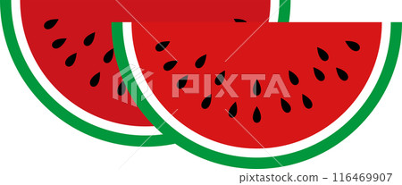 Summer cute watermelon illustration 116469907