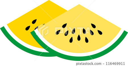 Summer cute watermelon illustration 116469911
