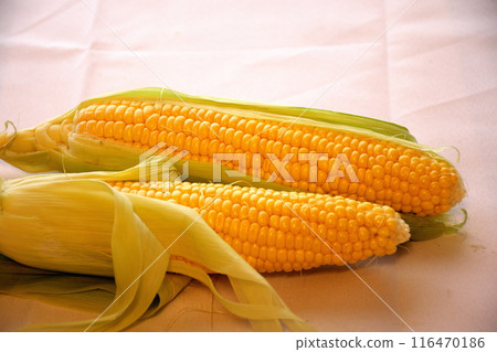 Freshly peeled corn Freshly peeled corn 116470186