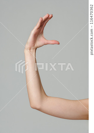 Female hand sign against gray background in studio Female hand sign against gray background in studio 116470362