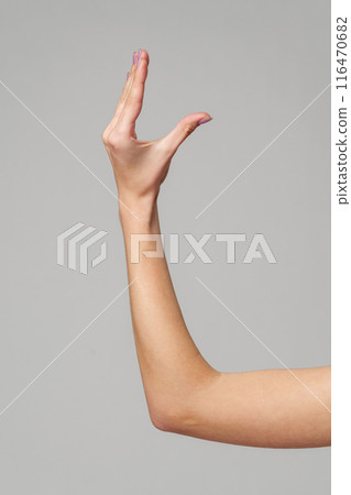 Female hand sign against gray background in studio Female hand sign against gray background in studio 116470682