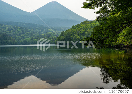 北海道東部的獨自旅行,阿寒湖附近的Onneto(湖)安靜的水面和阿寒富士的風景 北海道東部的獨自旅行,阿寒湖附近的Onneto(湖)安靜的水面和阿寒富士的風景 116470697