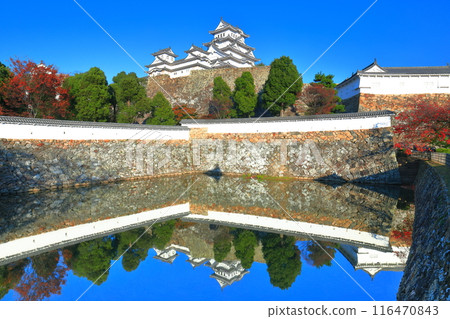 [Hyogo Prefecture] Symmetrical Himeji Castle and autumn leaves 116470843