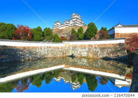 [Hyogo Prefecture] Symmetrical Himeji Castle and autumn leaves 116470844