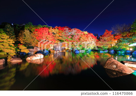 [Hyogo Prefecture] Kokoen Garden illumination with autumn leaves (Himeji Park) 116470866