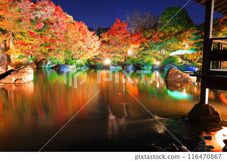 [Hyogo Prefecture] Kokoen Garden illumination with autumn leaves (Himeji Park) 116470867