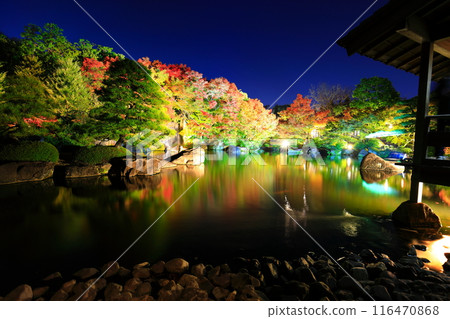 [兵庫縣] 好古園紅葉燈飾（姬路公園） 116470868