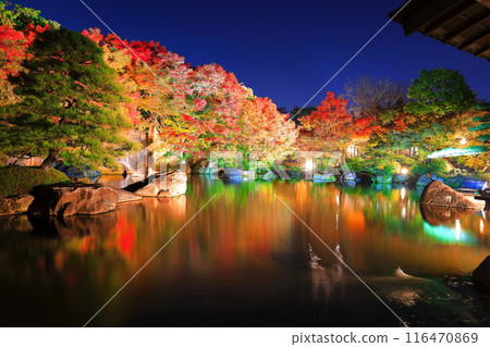 [Hyogo Prefecture] Kokoen Garden illumination with autumn leaves (Himeji Park) 116470869