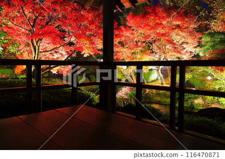 [Hyogo Prefecture] Kokoen Garden illumination with autumn leaves (Himeji Park) 116470871