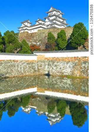 [兵庫縣]對稱的姬路城和秋葉 116470886
