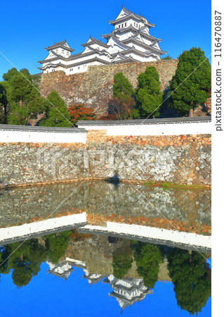 [兵庫縣]對稱的姬路城和秋葉 116470887