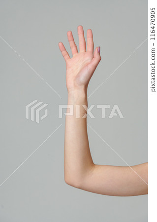 Open palm of a female hand o gray background 116470905