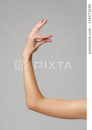 Female hand sign against gray background in studio Female hand sign against gray background in studio 116471046
