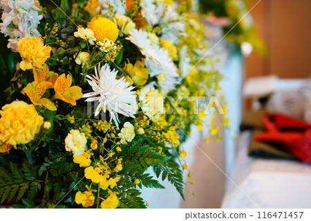 時尚花壇 時尚花壇 116471457